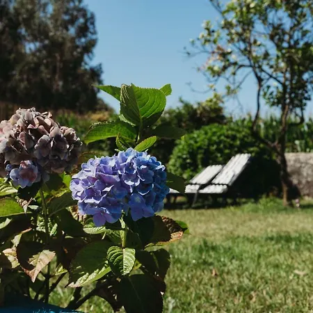 A Casa Da Estrela - De Peregrinos *