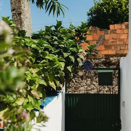 بيت ريفي A Casa Da Estrela - De Peregrinos