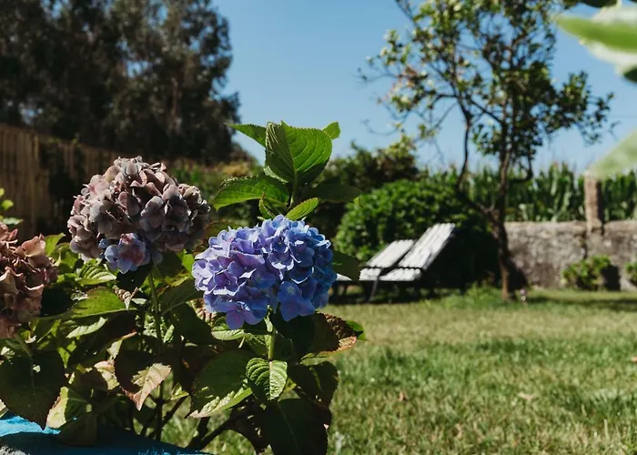 A Casa Da Estrela - De Peregrinos *