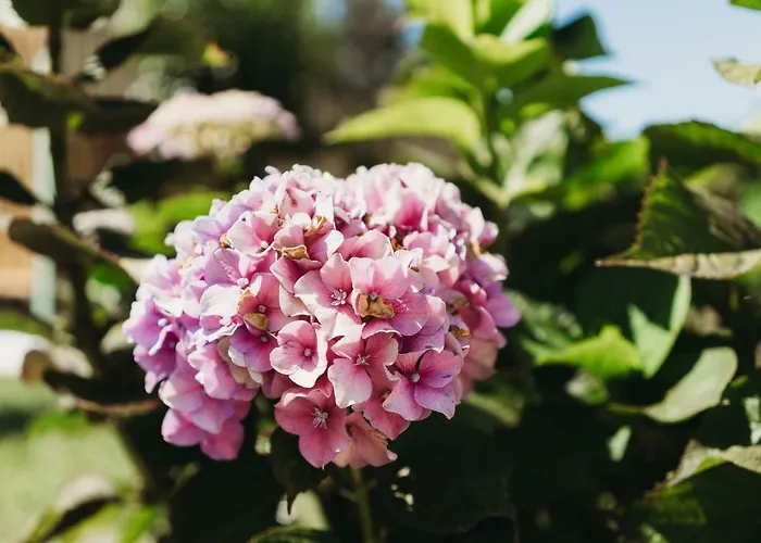 宾馆 A Casa Da Estrela - De Peregrinos